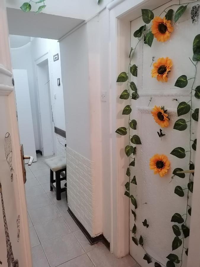Low Cost Apartment Beograd Eksteriør bilde
