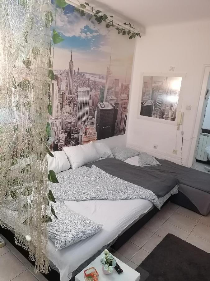 Low Cost Apartment Beograd Eksteriør bilde