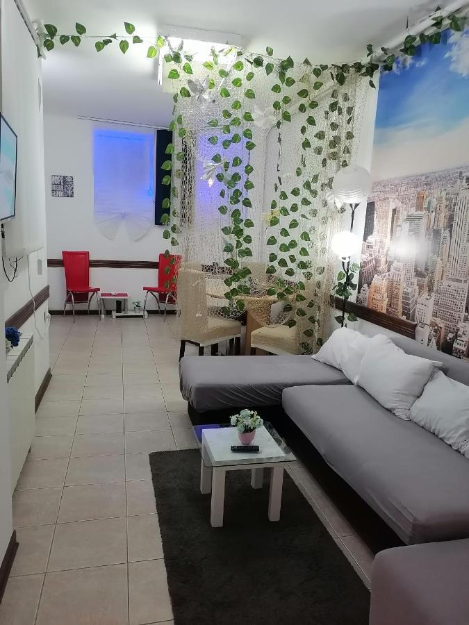 Low Cost Apartment Beograd Eksteriør bilde