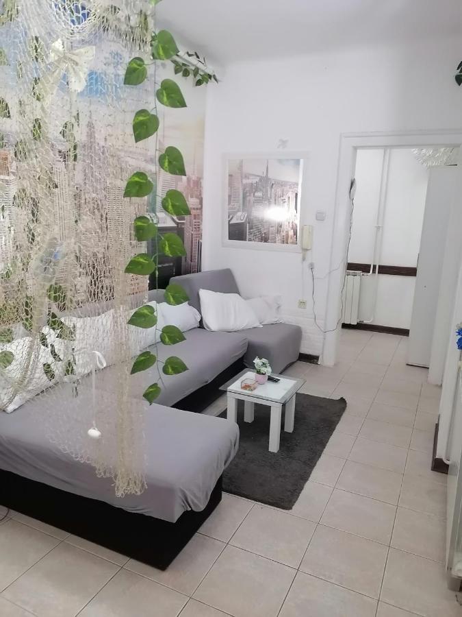 Low Cost Apartment Beograd Eksteriør bilde